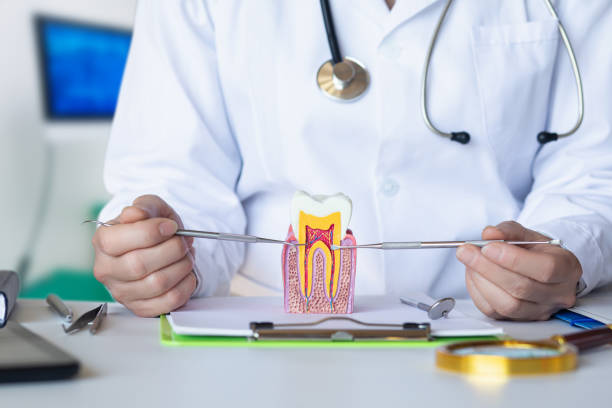 Best Emergency Root Canal Treatment in Raceland, KY